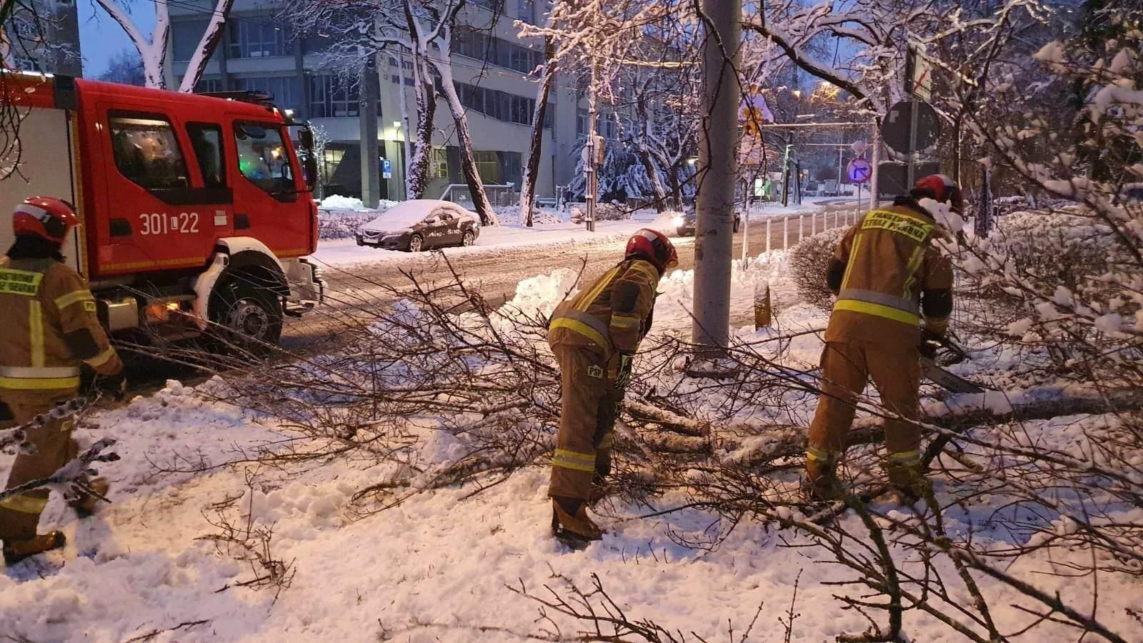 У Польщі аномальні снігопади: загинуло 2 особи, 300 тис. людей залишились без електрики. Фото