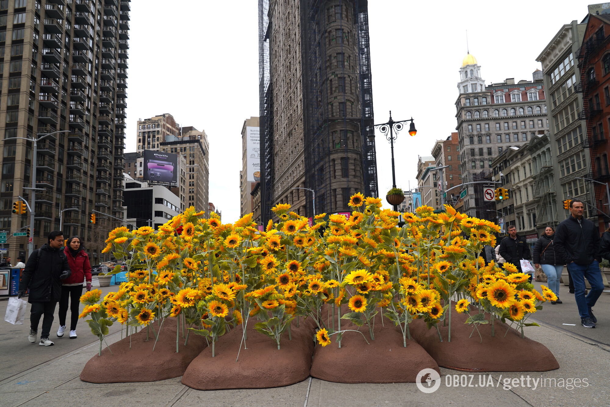 У самому серці Нью-Йорка встановили інсталяцію з 333 соняшниками з нагоди Дня Соборності України. Фото