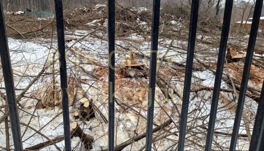 Паники нет: в Москве начали вырубать парк под установку системы ПВО. Фото