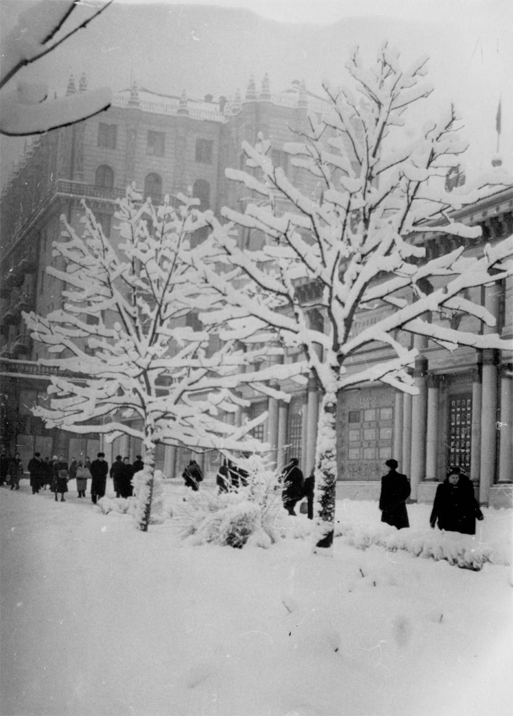 В сети показали, как зимой выглядел Крещатик в Киеве в 1960-е годы. Старые фото
