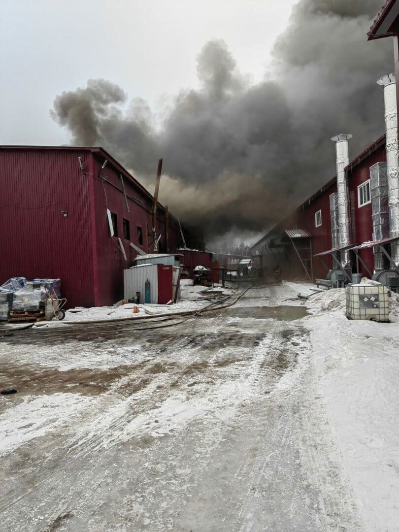 Під Москвою прогримів вибух на металургійному заводі, спалахнула потужна пожежа. Фото 