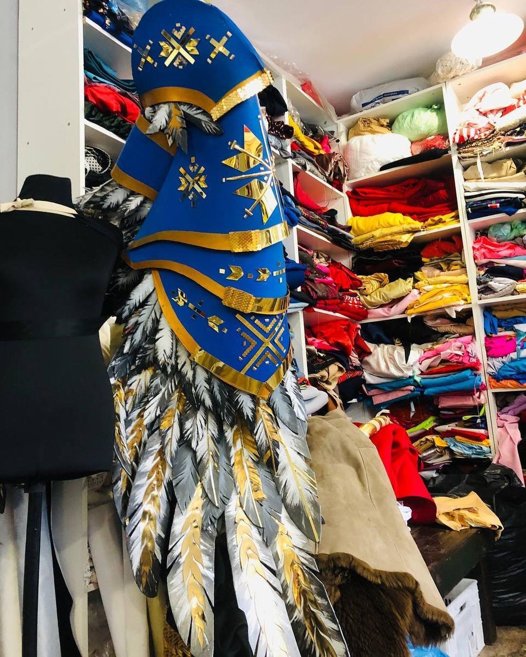 ''Міс Україна Всесвіт'' продала обпалені крила національного костюму за вражаючу суму: на що витратять гроші