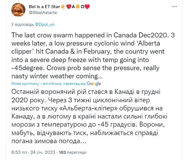 ''Бойові комарі відпочивають'': у Росії видали заяву про ''особливих'' ворон у небі над Києвом, у мережі відреагували