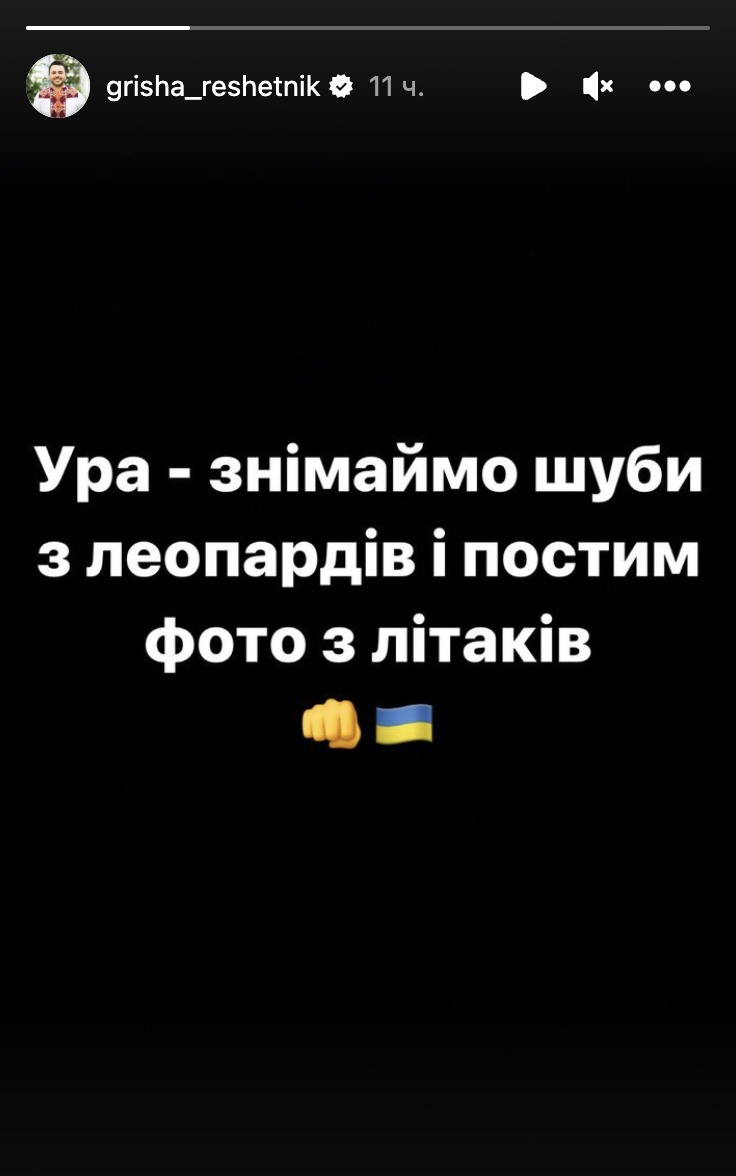 Ховаємо леопард в шафу: Осадча та Решетнік запропонували ідею наступного флешмобу з метою предачі зброї Україні