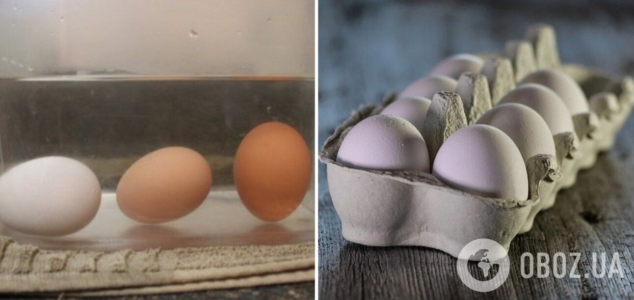 Як перевірити яйце на свіжість