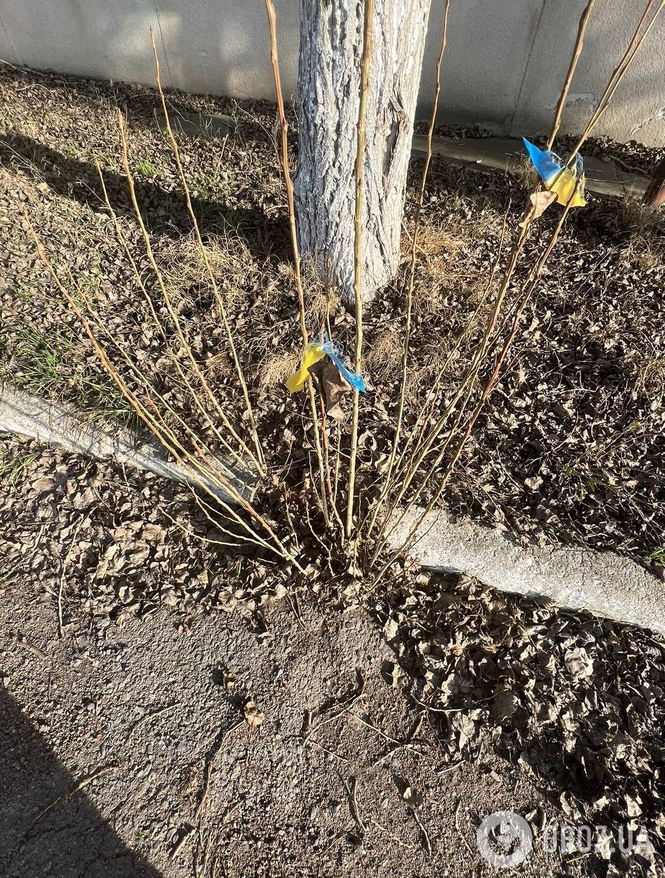 "Будемо боротися, допоки останній окупант не зникне з нашої землі": херсонські партизани чекають на звільнення лівобережжя. Фото 