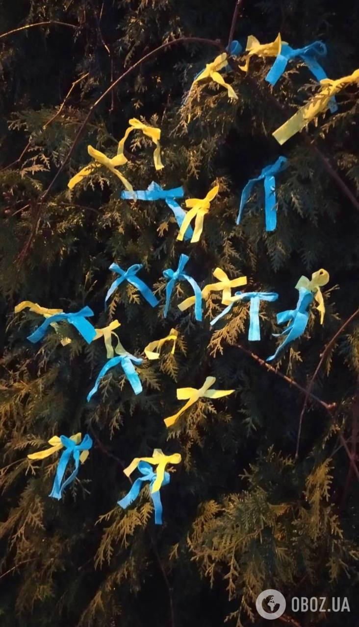 "Будемо боротися, допоки останній окупант не зникне з нашої землі": херсонські партизани чекають на звільнення лівобережжя. Фото 