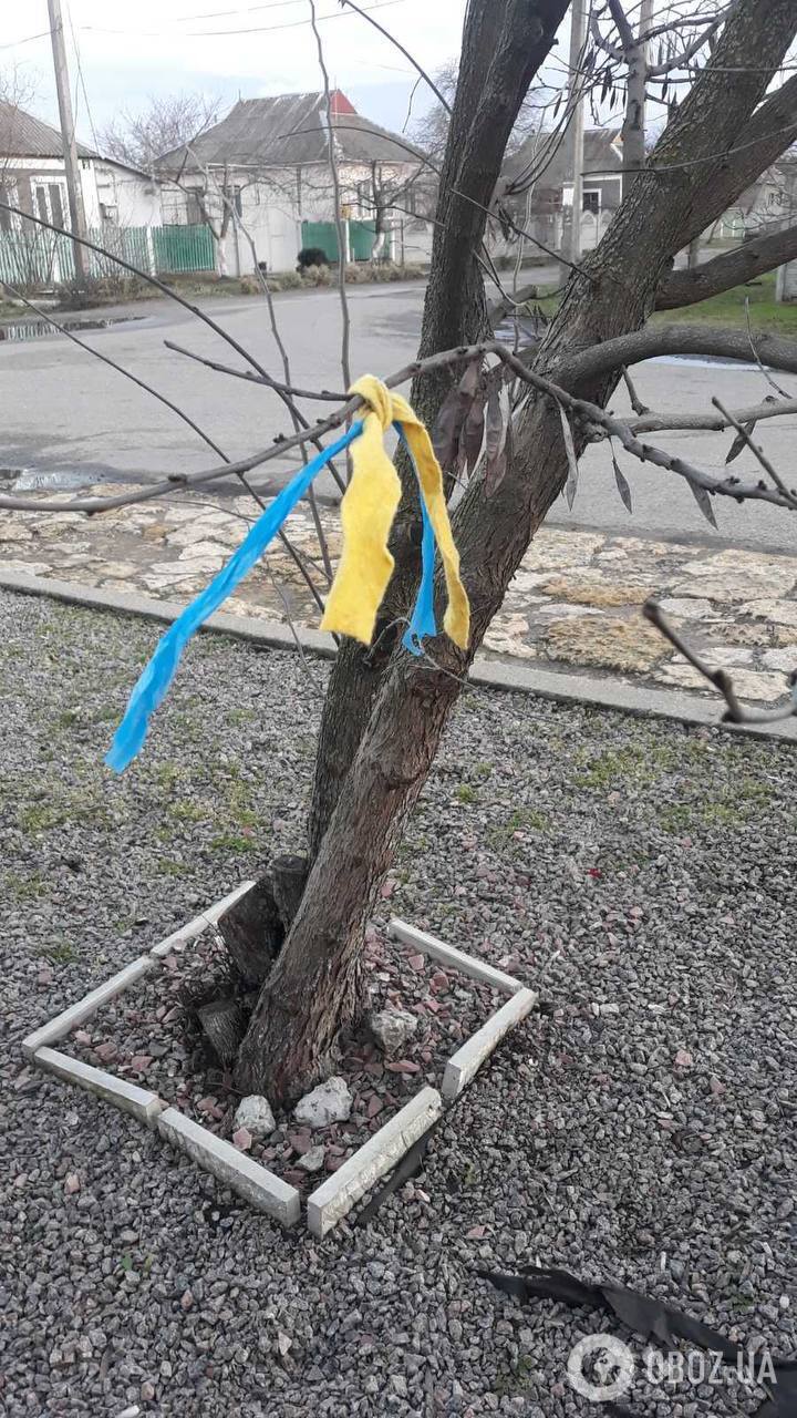 "Будемо боротися, допоки останній окупант не зникне з нашої землі": херсонські партизани чекають на звільнення лівобережжя. Фото 