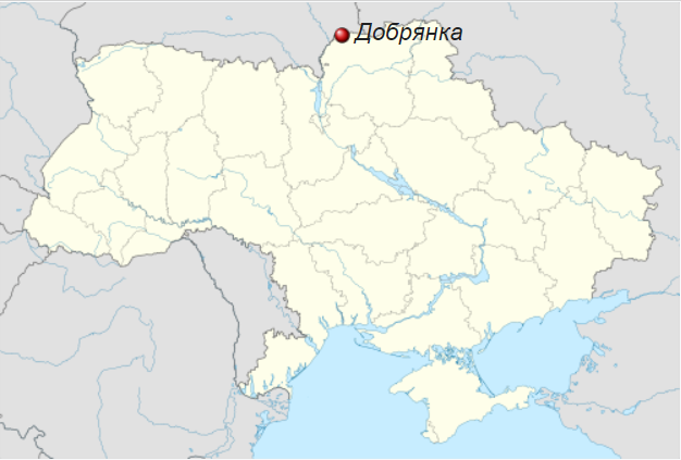 Білоруський прикордонник поскаржився на українських колег через "образливі" жести: у мережі відповіли. Відео 