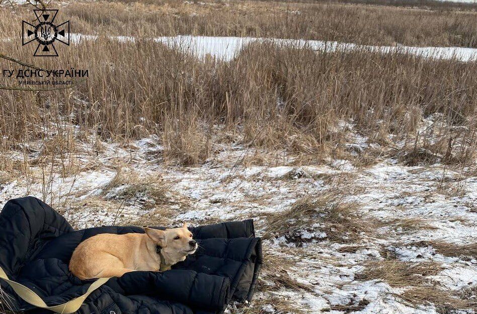 В Киевской области мужчина провалился под лед и погиб: на месте трагедии погибшего хозяина ждала собака. Фото