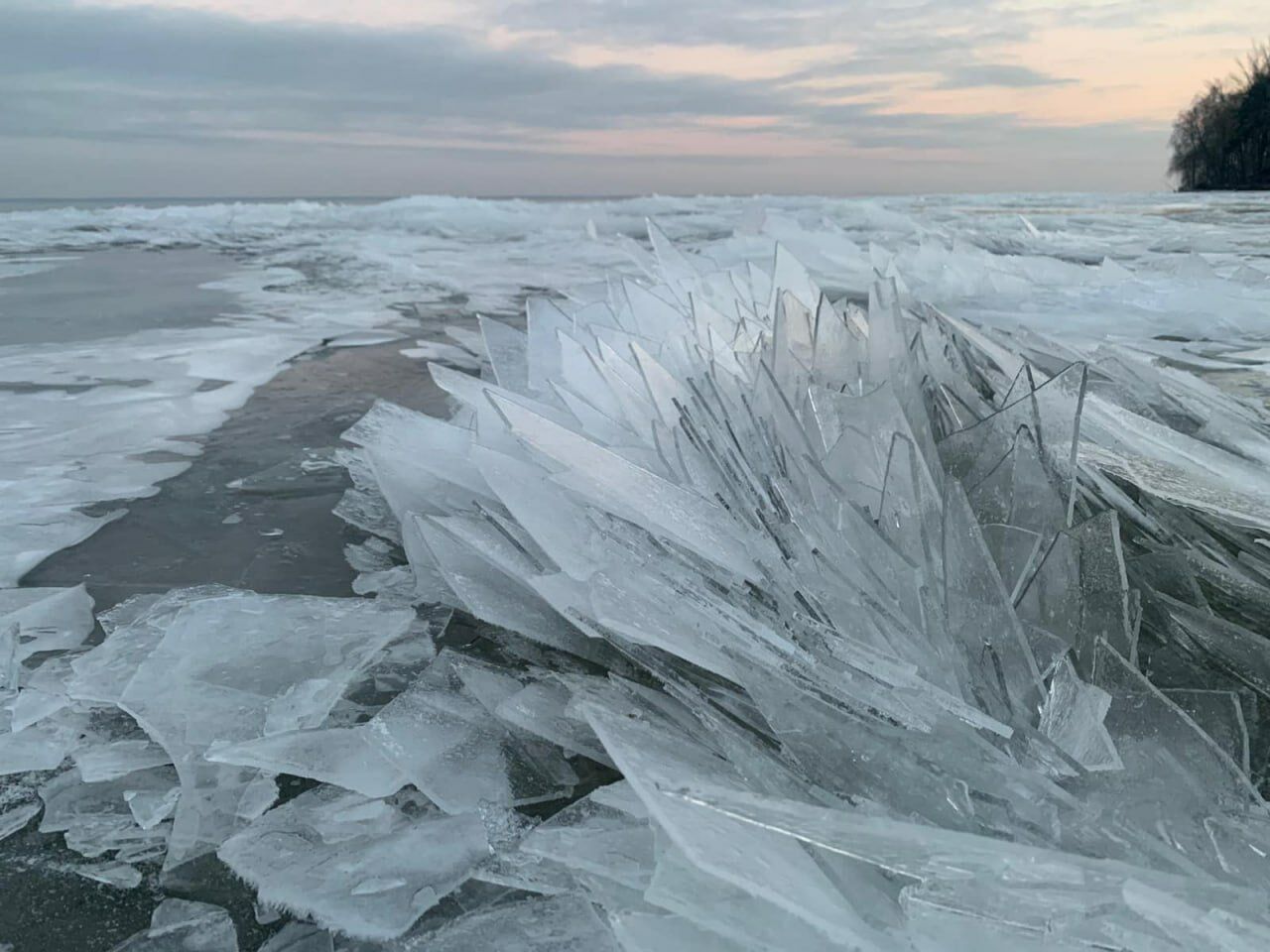 На берегу Киевского моря заметили "ледяных ежей". Фото