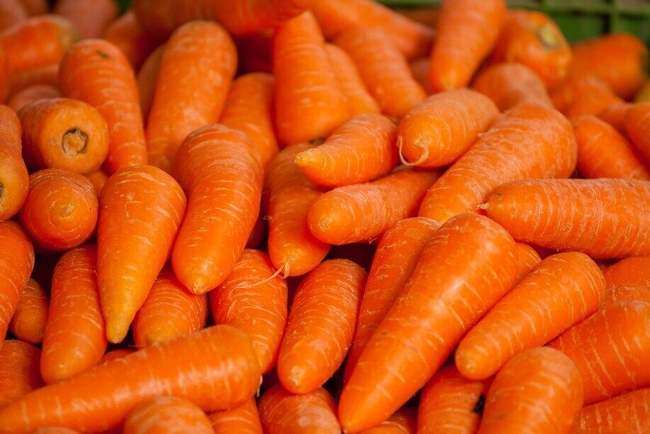 Як правильно зберігати моркву та з якими овочами
