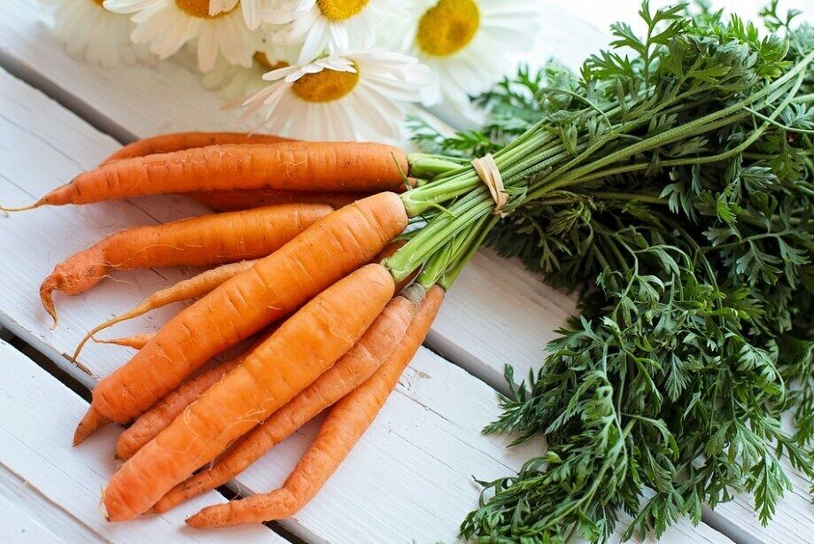 Как правильно хранить морковь зимой
