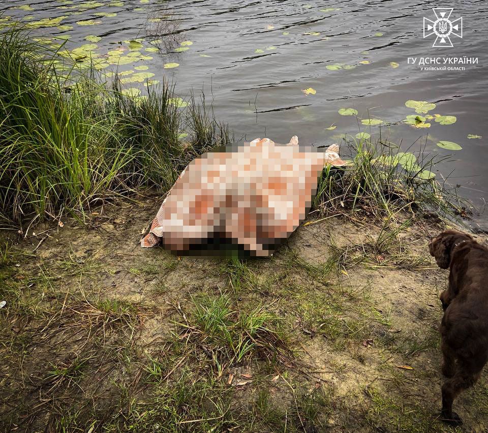 На Київщині у річці Десна знайшли тіло чоловіка, який пропав безвісти ще 29 вересня