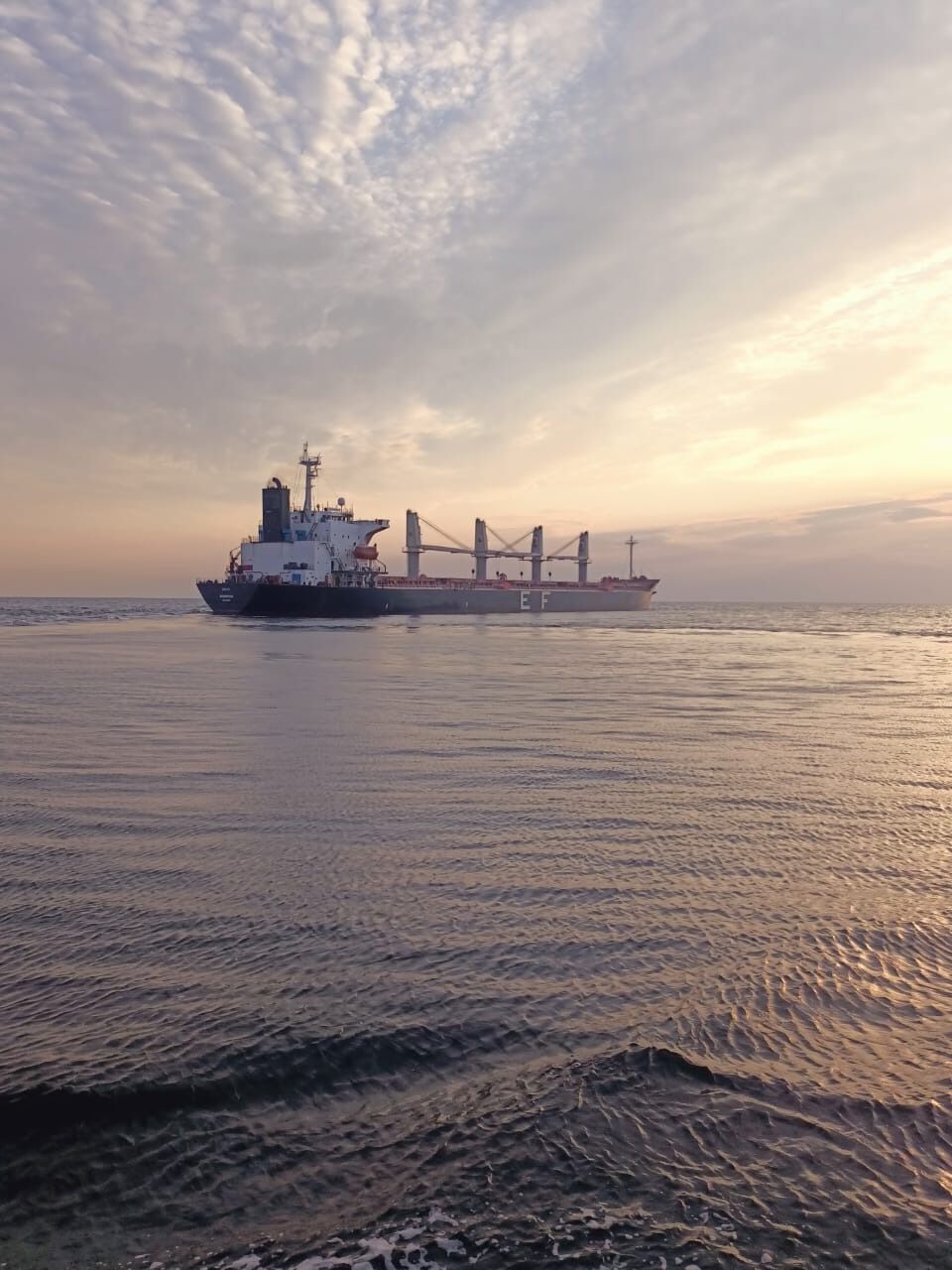 Блокада РФ в Чорному морі розвалюється: Україна відправила ще 3 кораблі із агропродукцією та рудою