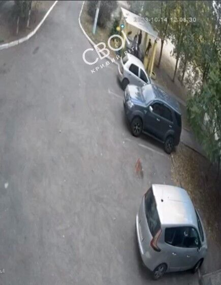 В Кривом Роге мужчина подстрелил дворового пса в присутствии детей: в стрелке опознали экс-депутата от "Оппоблока"