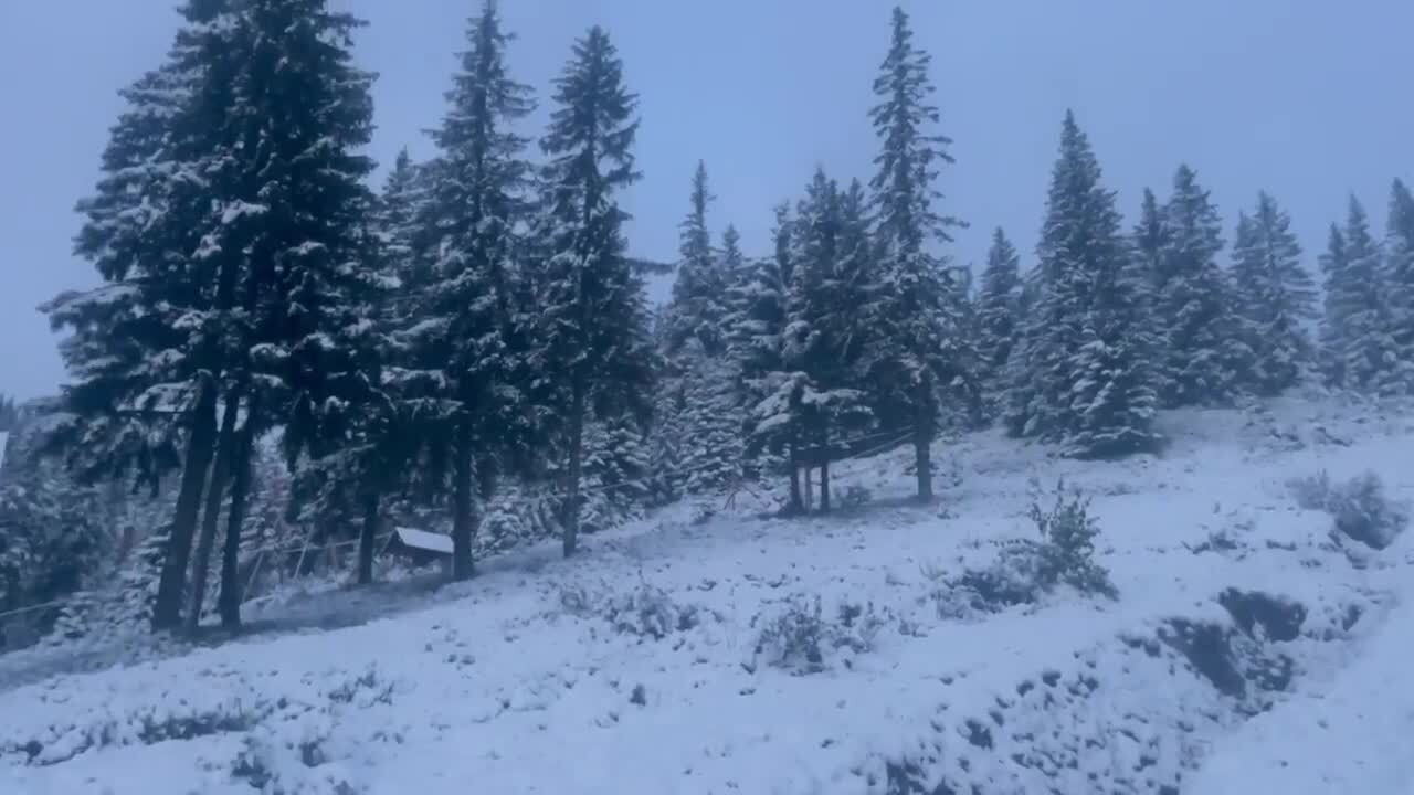 Українські Карпати замело снігом, ударив мороз. Фото і відео 