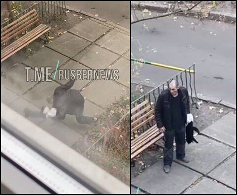 В Киеве мужчина пытался убить бездомного кота: полиция показала нарушителя. Фото и видео