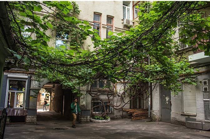 Виноградный потолок на Подоле: в Киеве есть Дворик Адама и Евы, где можно сделать отличные снимки. Фото