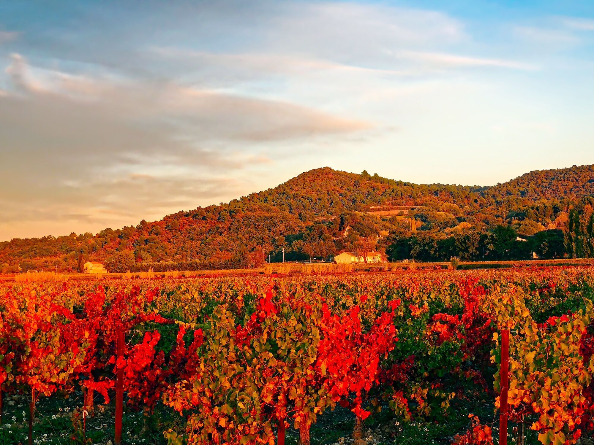 Вино и путешествие: лучшие винные регионы Европы