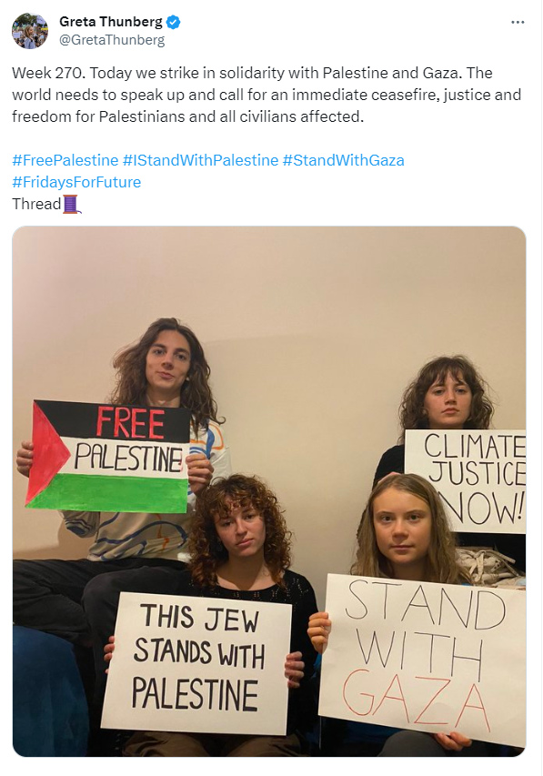 Грета Тунберг у соцмережах підтримала Палестину та сектор Гази і отримала жорстку відповідь: пост довелося видаляти. Фото