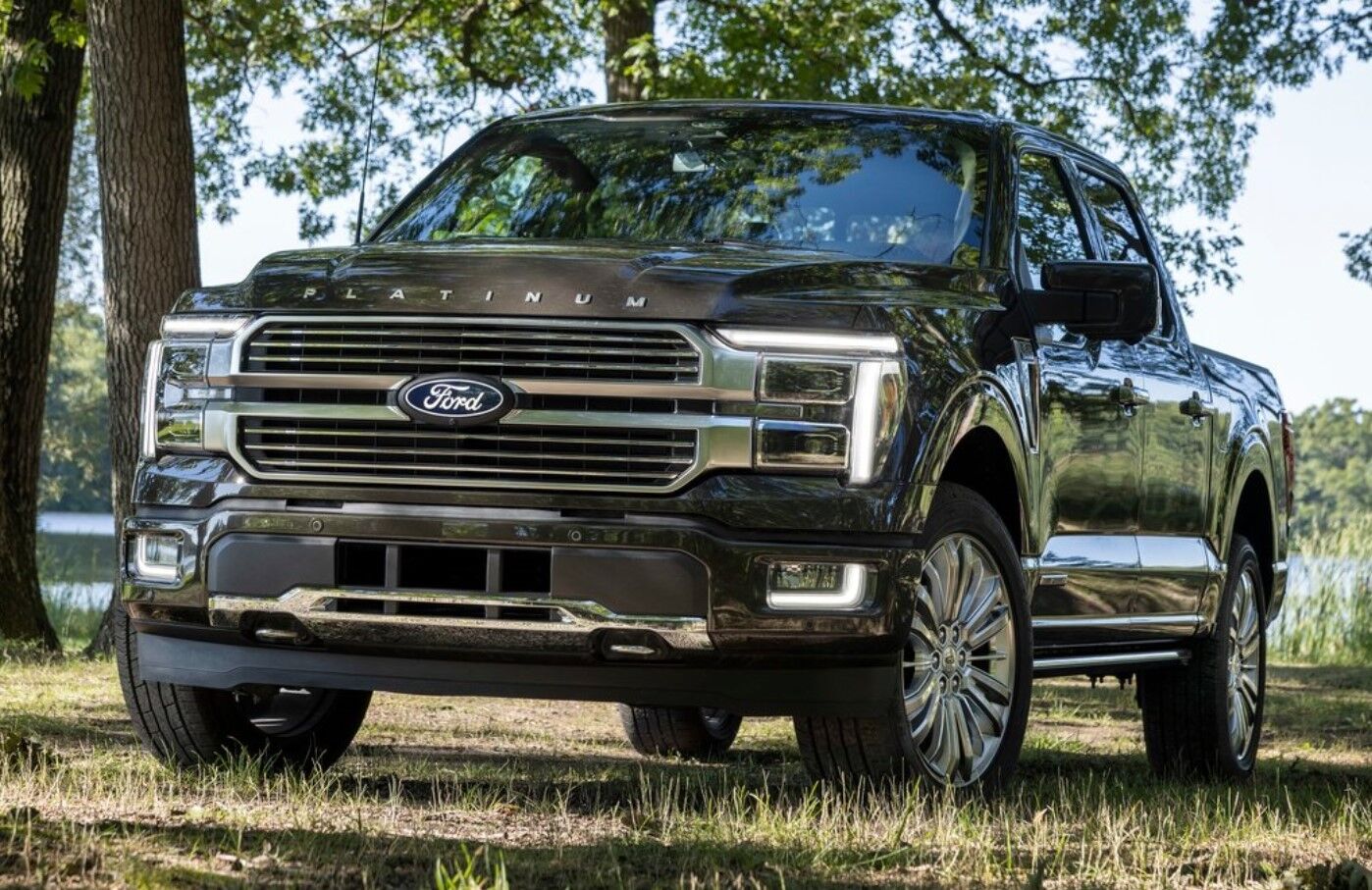 Ford F