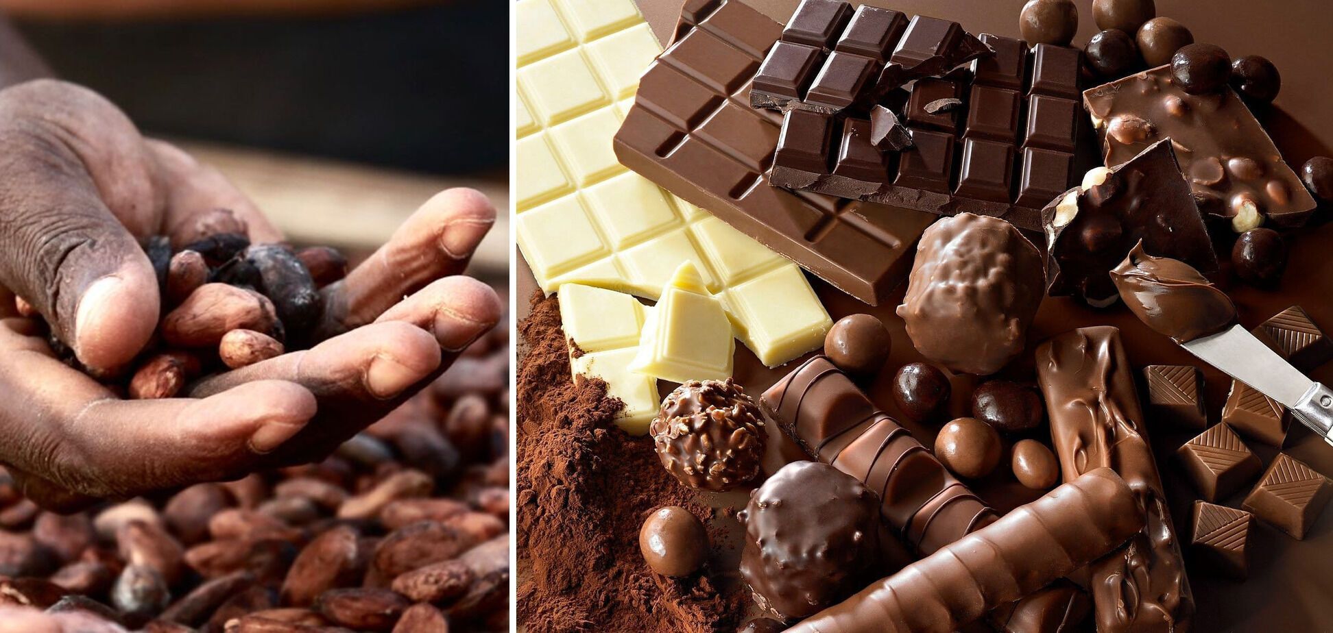 Названо найшкідливіший шоколад: його їсти не можна
