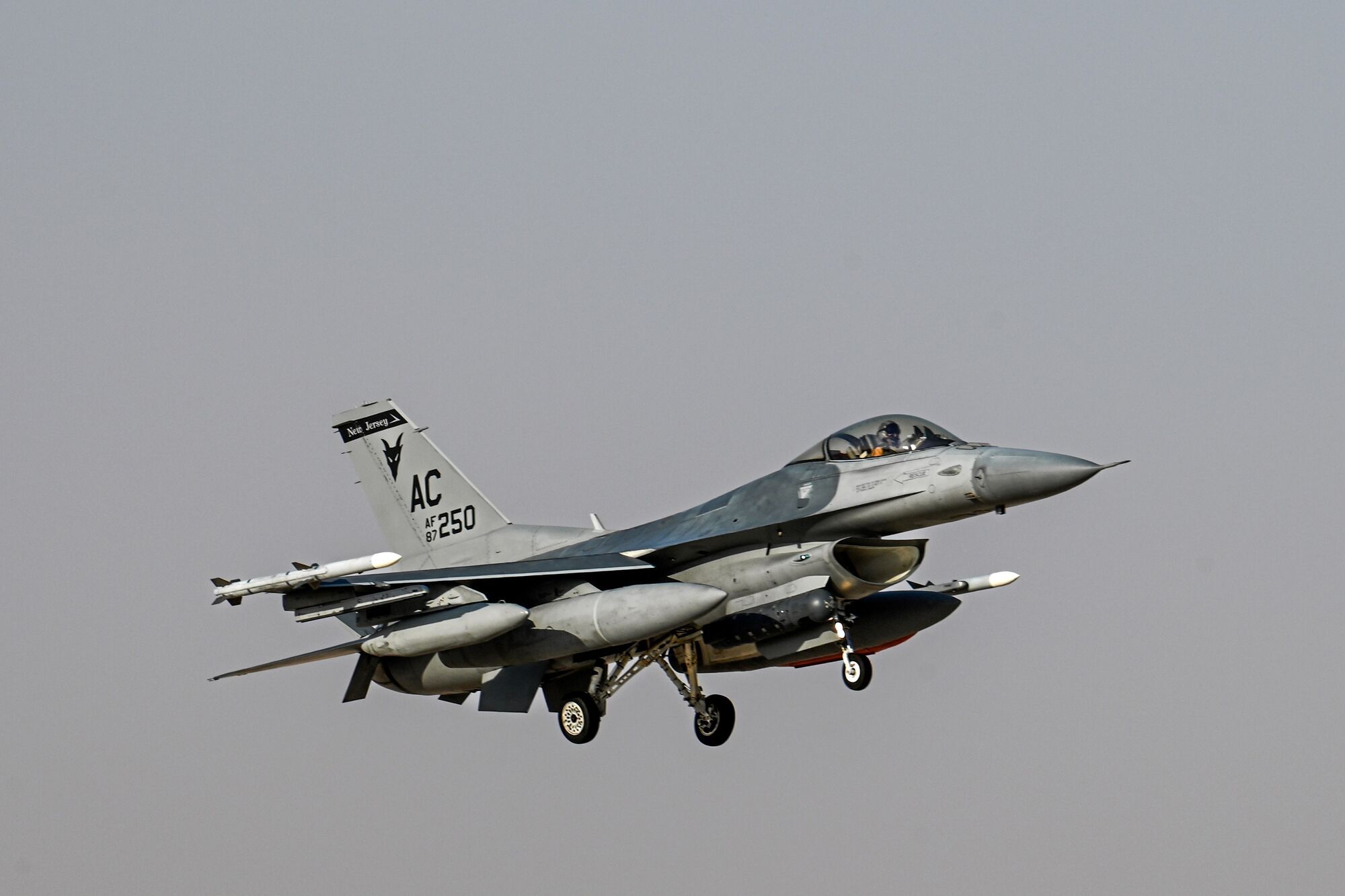 Чем отличаются самолеты Mirage 2000 и F-16: мнение экспертов