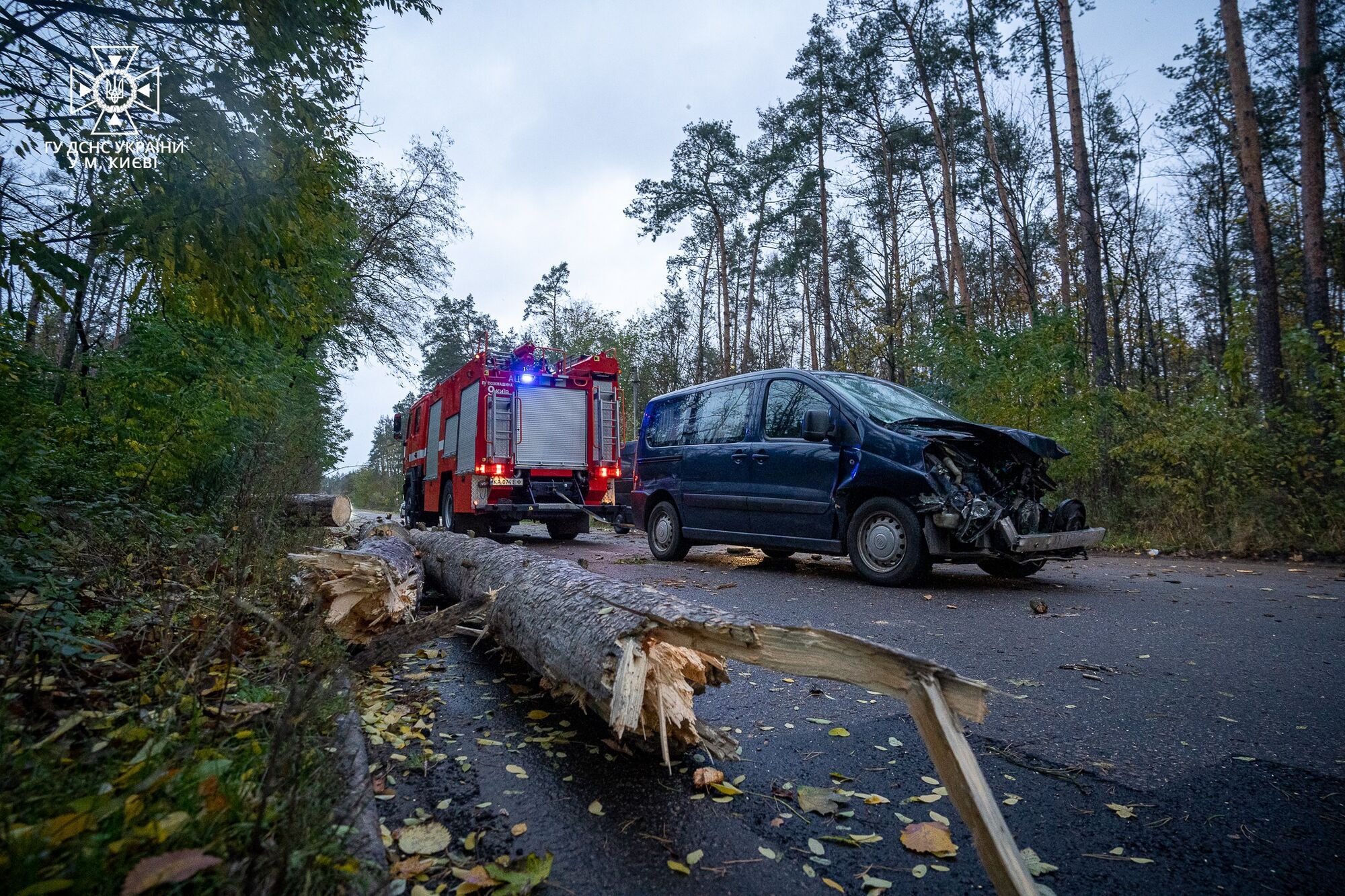 Валить дерева і зносить паркани: у Києві вирує штормовий вітер, мешканців попередили про небезпеку. Фото і відео