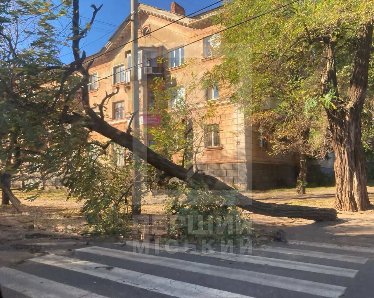 В Киеве ветер массово валил деревья, 12 областей частично без света: есть погибшие и пострадавшие. Фото и видео последствий непогоды в Украине