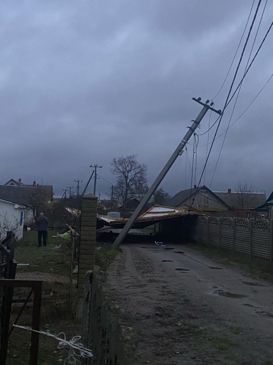 В Киеве ветер массово валил деревья, 12 областей частично без света: есть погибшие и пострадавшие. Фото и видео последствий непогоды в Украине