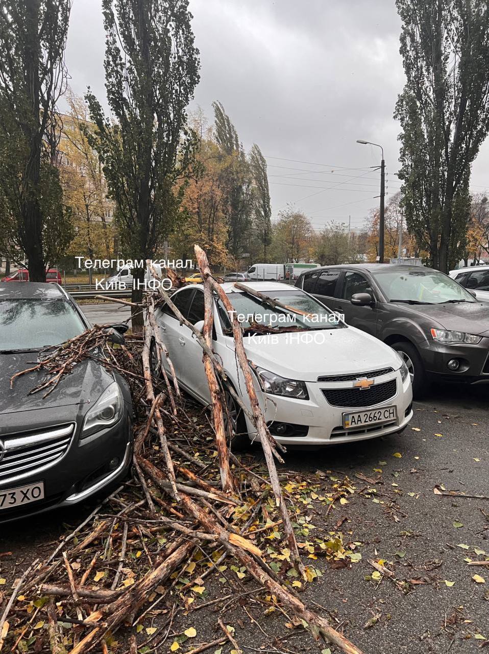 У Києві вітер масово валив дерева, 12 областей частково без світла: є загиблі й постраждалі. Фото й відео наслідків негоди в Україні
