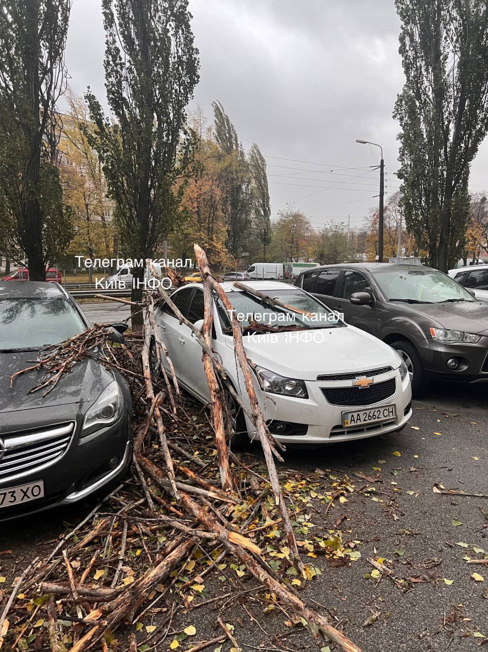 В Киеве ветер массово валил деревья, 12 областей частично без света: есть погибшие и пострадавшие. Фото и видео последствий непогоды в Украине