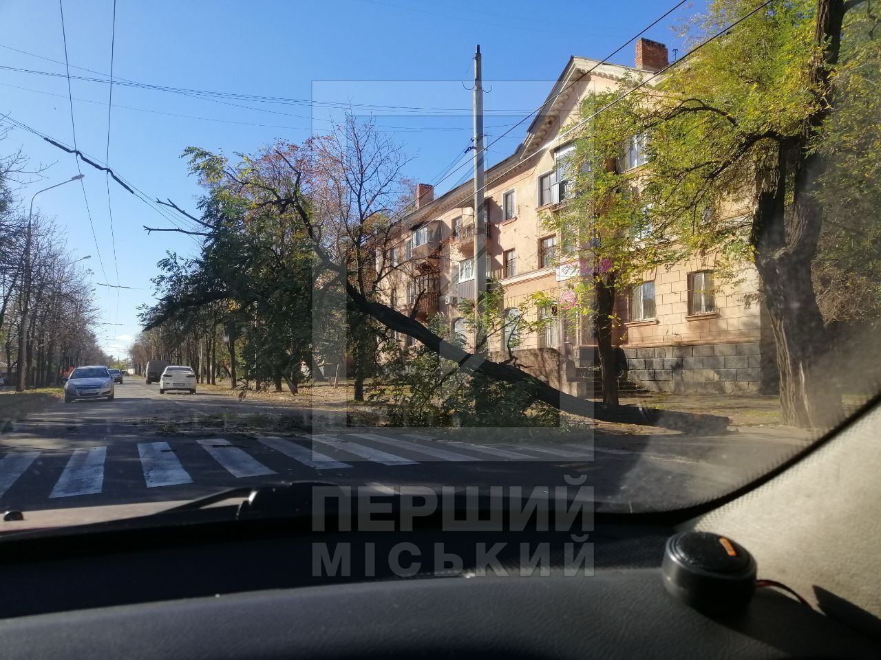В Киеве ветер массово валил деревья, 12 областей частично без света: есть погибшие и пострадавшие. Фото и видео последствий непогоды в Украине
