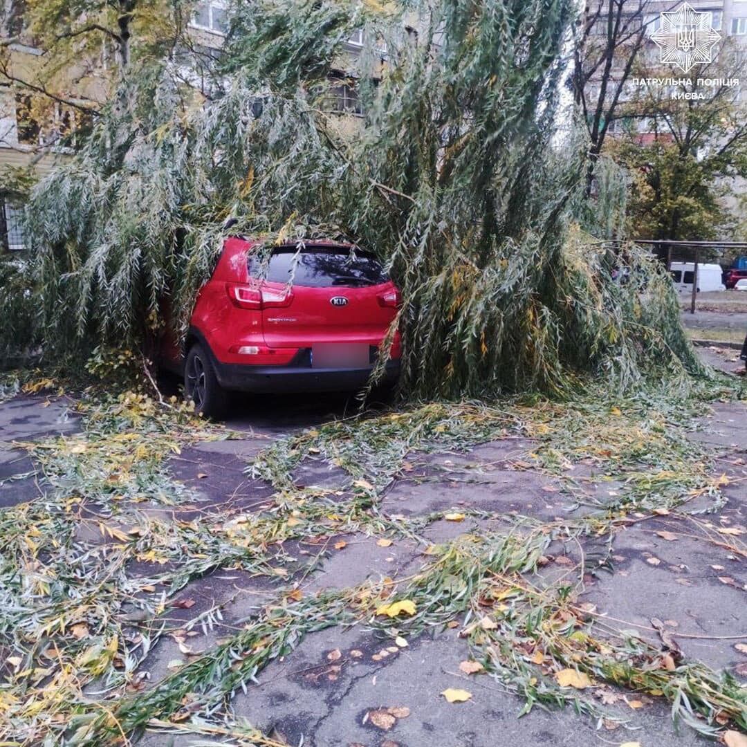 В Киеве ветер массово валил деревья, 12 областей частично без света: есть погибшие и пострадавшие. Фото и видео последствий непогоды в Украине