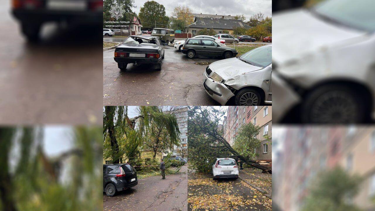 В Киеве ветер массово валил деревья, 12 областей частично без света: есть погибшие и пострадавшие. Фото и видео последствий непогоды в Украине