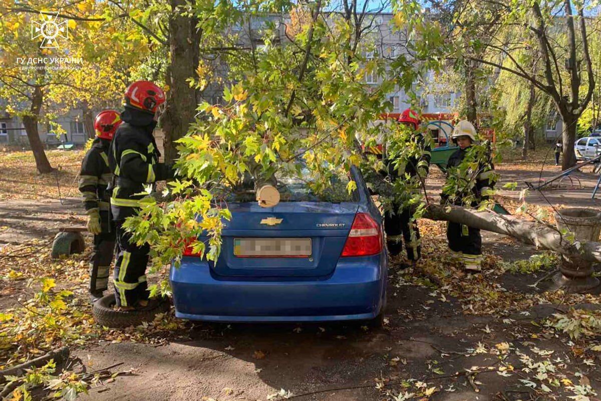 У Києві унаслідок падіння дерева загинули два чоловіки, 7 постраждалих: пориви вітру можуть сягати 28 м/c