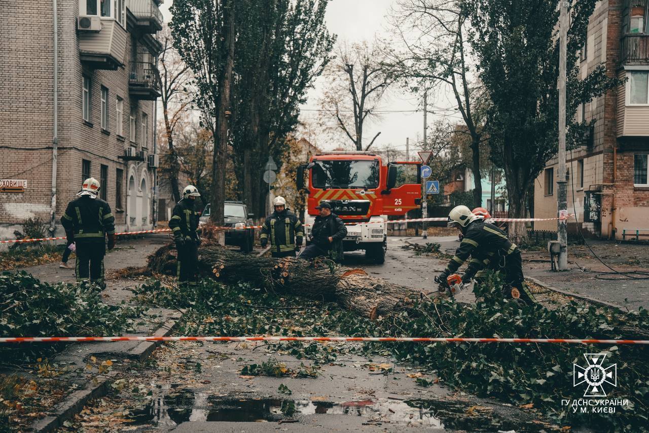 У Києві унаслідок падіння дерева загинули два чоловіки, 7 постраждалих: пориви вітру можуть сягати 28 м/c