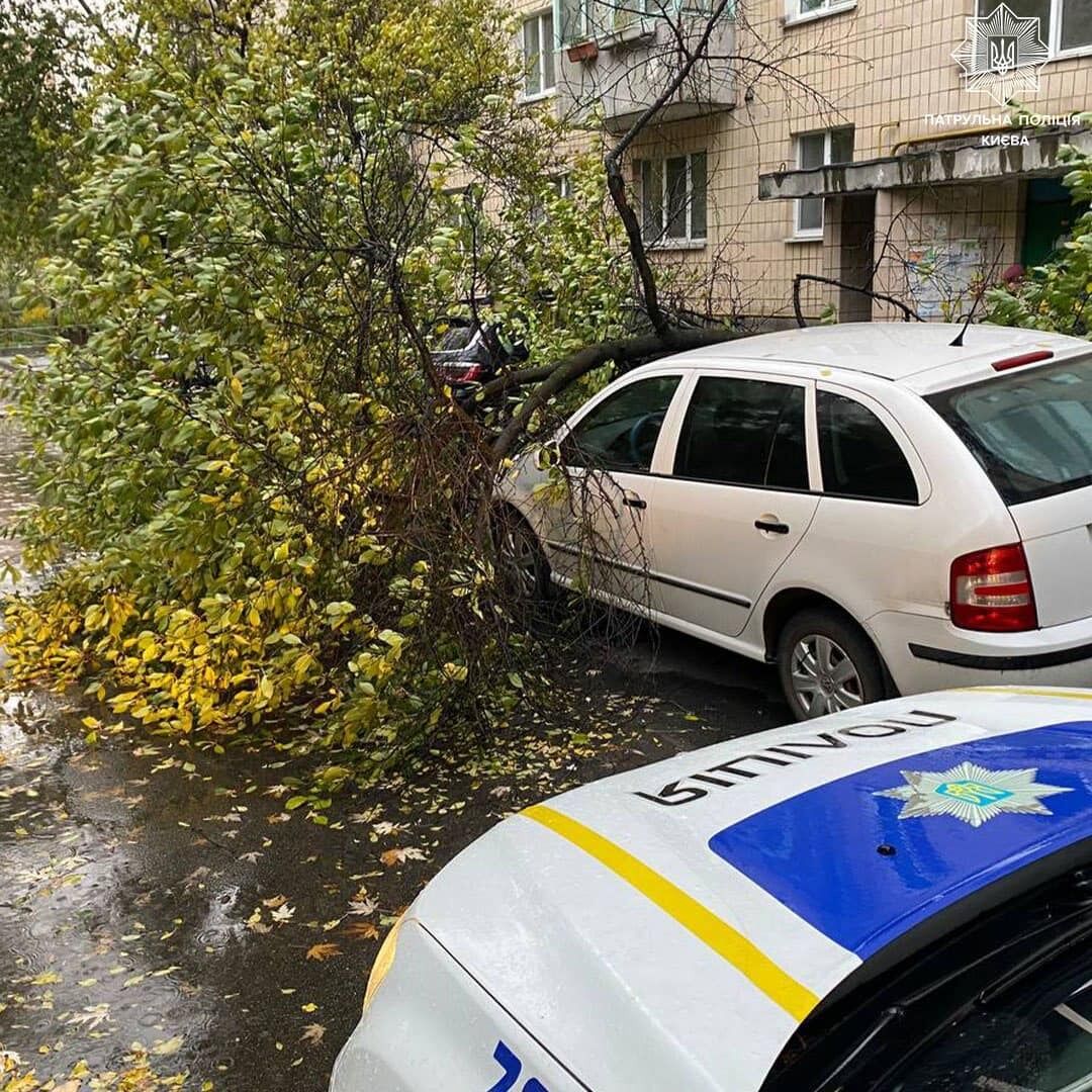 У Києві вітер масово валив дерева, 12 областей частково без світла: є загиблі й постраждалі. Фото й відео наслідків негоди в Україні