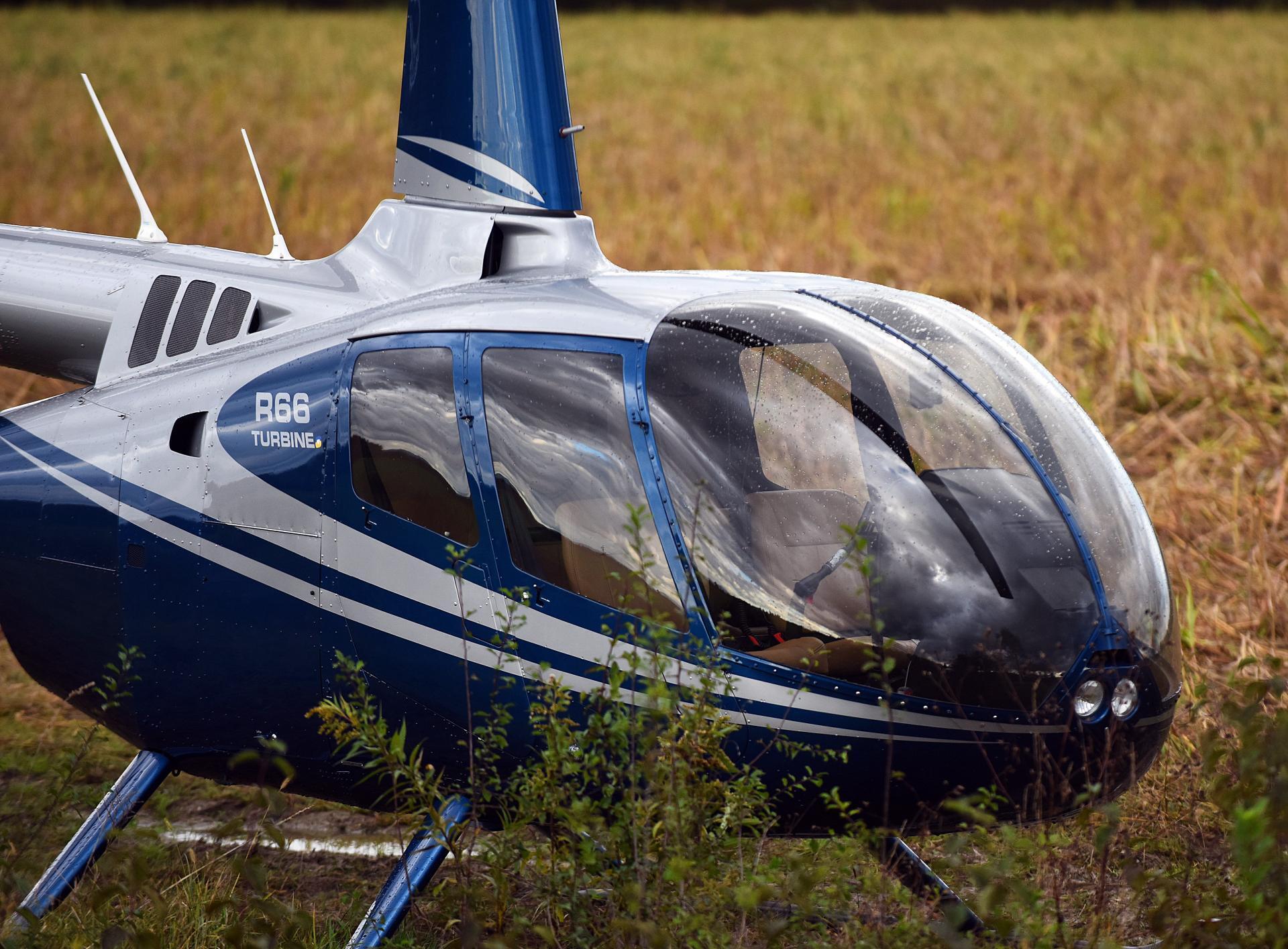 Українського інвестбанкіра у Хорватії оштрафували за полювання на кабанів із вертольота. Фото