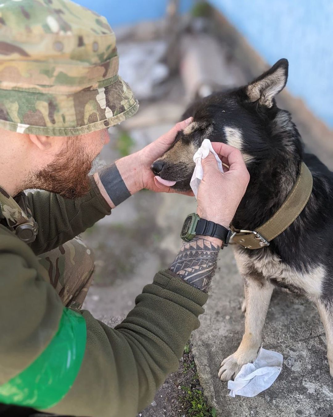 Під обстрілом рятував собак зі школи, що горіла: командир підрозділу та віцечемпіон Європи не зміг кинути тварин