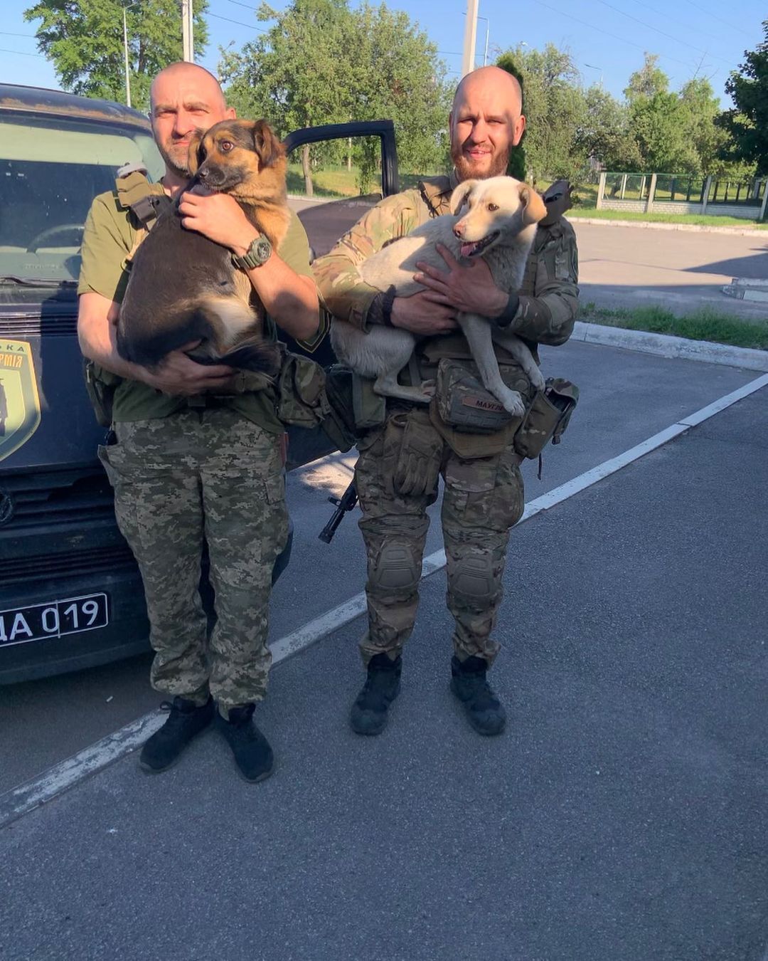 Под обстрелом спасал собак из горевшей школы: командир подразделения и вице-чемпион Европы не смог бросить животных