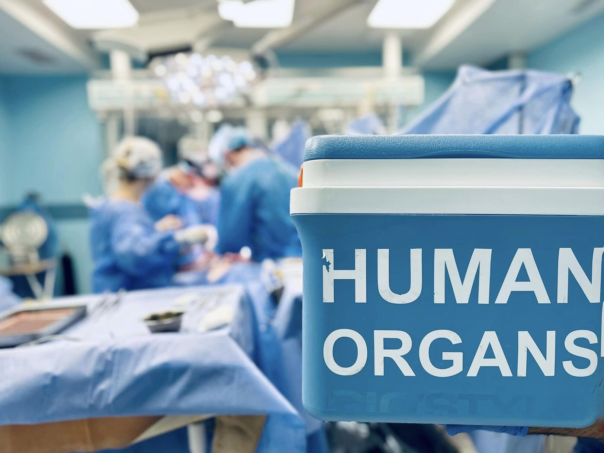 Трансплантація в Україні