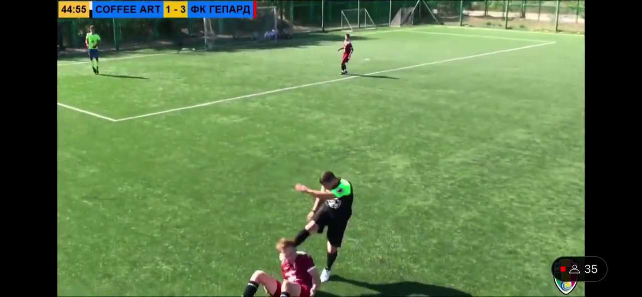 Украинские футболисты организовали жестокую массовую драку с элементами кунг-фу. Видео