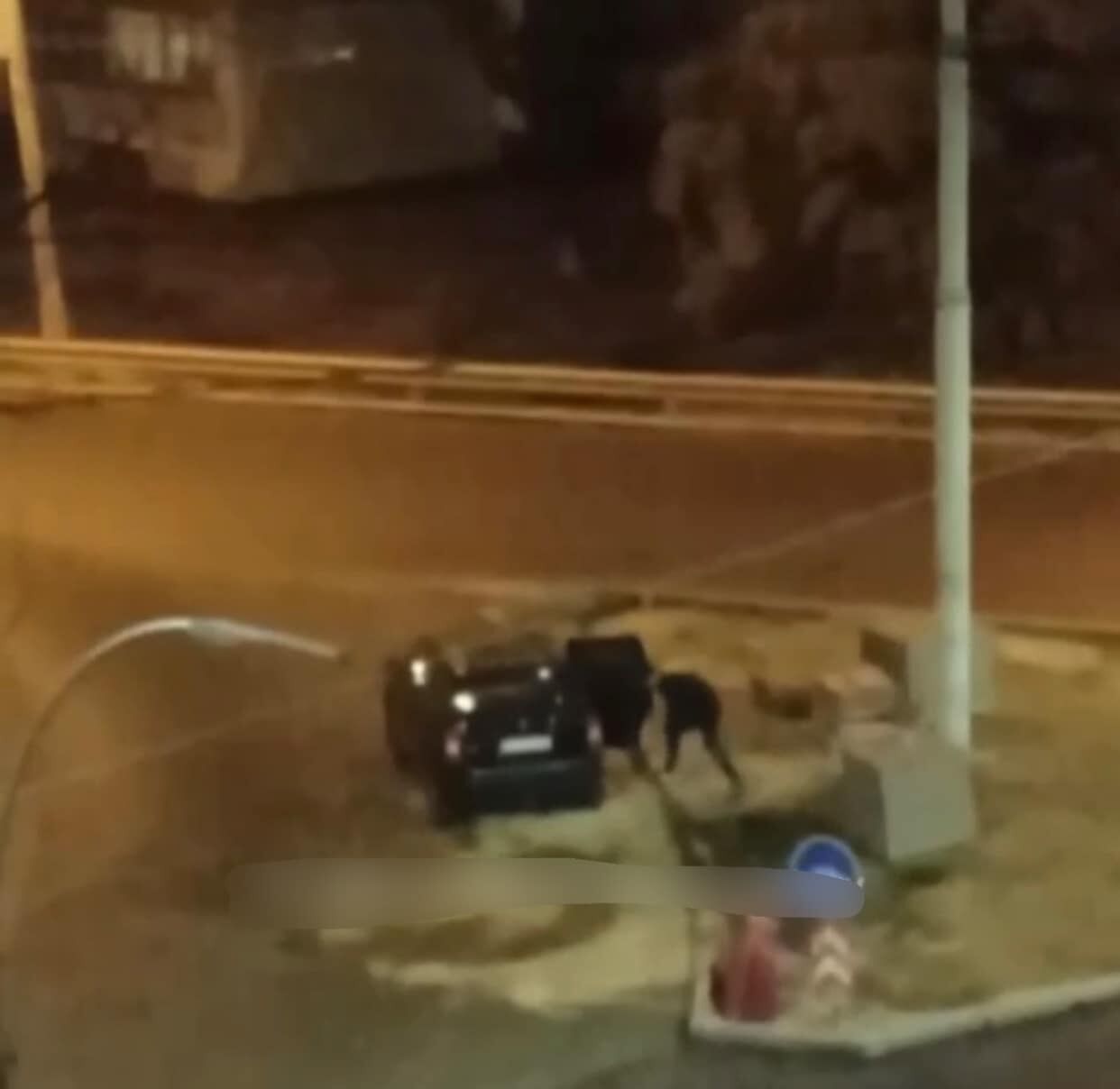 У Києві на гарячому спіймали водія Jeep, який крав бруківку на Оболоні. Фото і відео