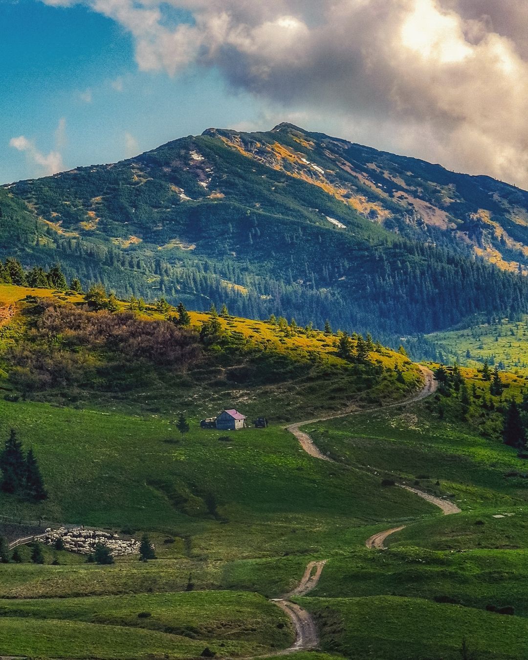 Українські Альпи: найкрасивіші полонини Карпатських гір 