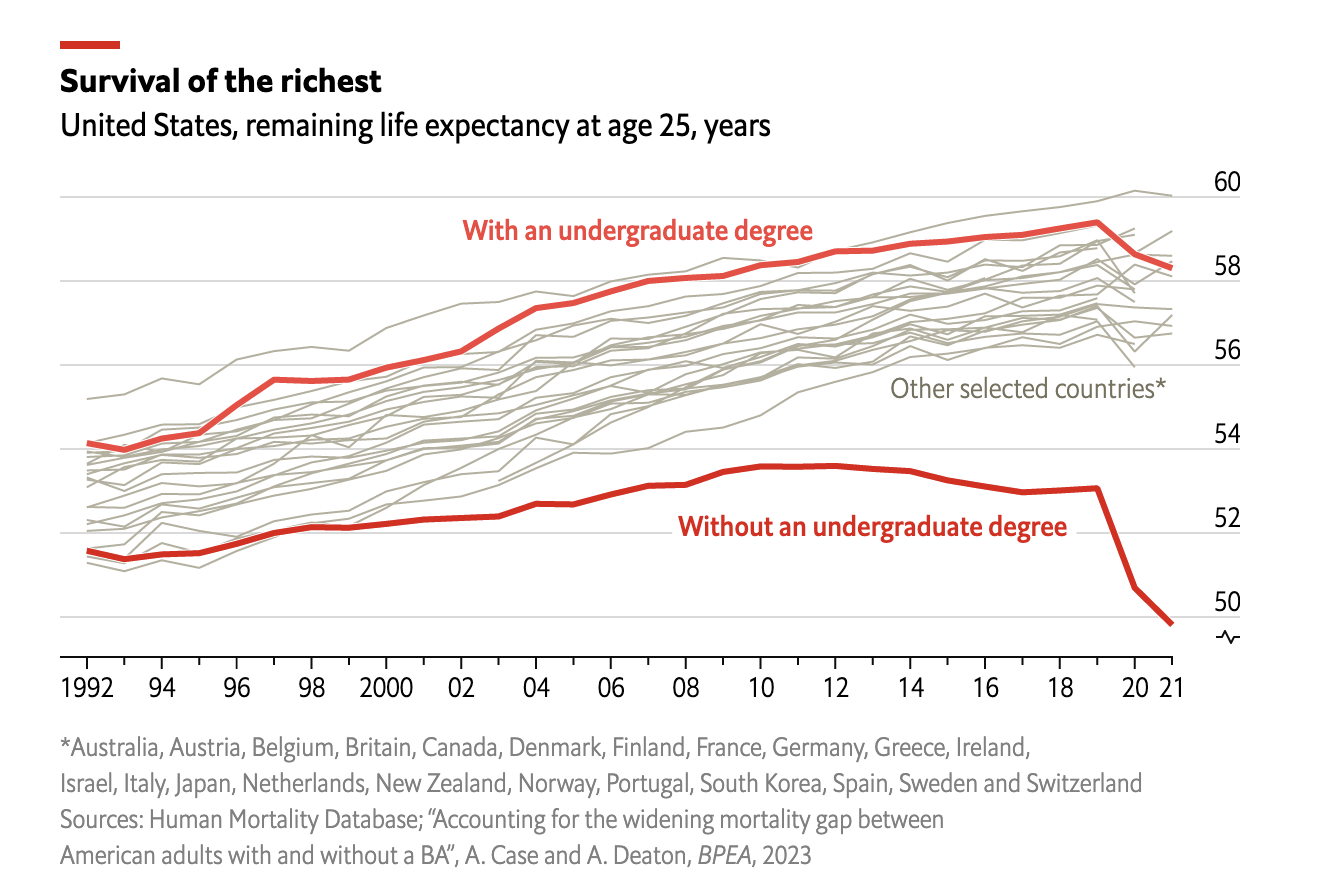 Як вища освіта впливає на тривалість життя: несподівані результати дослідження
