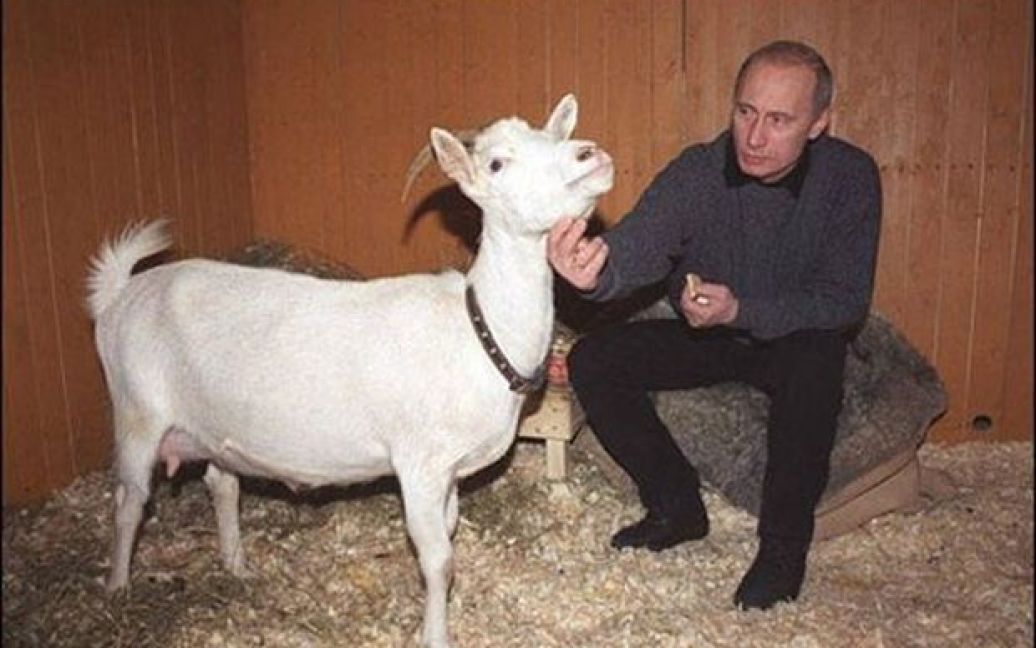 Путин день рождения - Figure 1