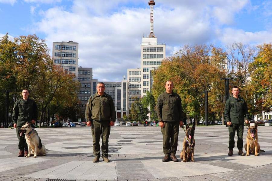 Песики-гвардійці із 5-ї Слобожанської бригади НГУ отримали медалі за віддану службу: фото