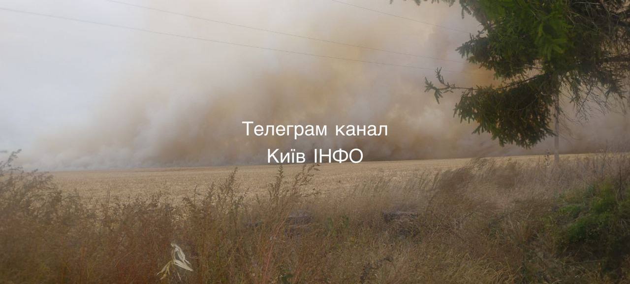 На Київщині через пожежу частину траси Київ-Одеса затягнуло димом. Фото і відео